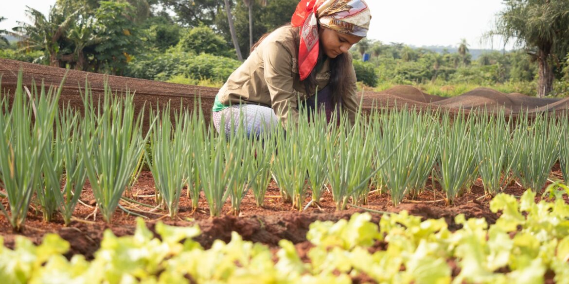 International Day of Rural Women