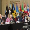 OAS Working Group