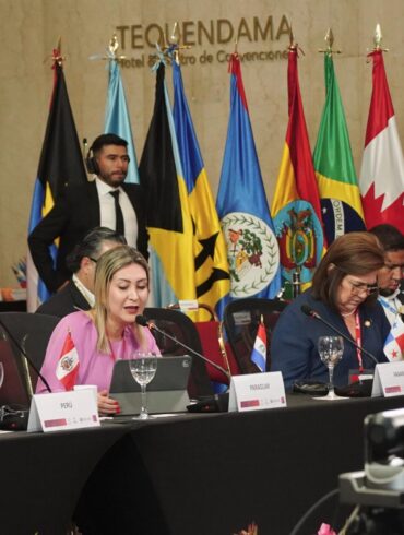 OAS Working Group