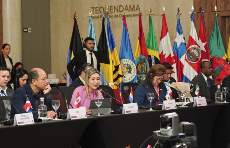 OAS Working Group