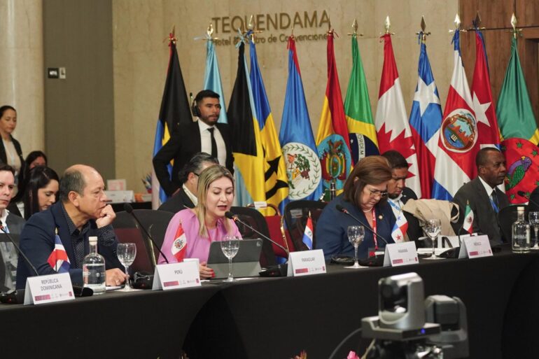 OAS Working Group