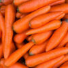 carrot