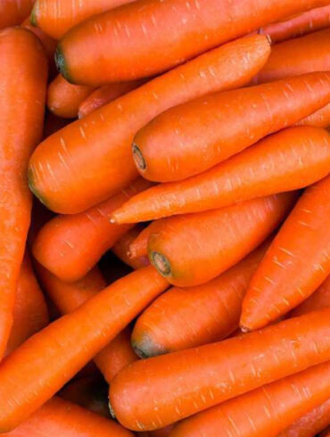 carrot