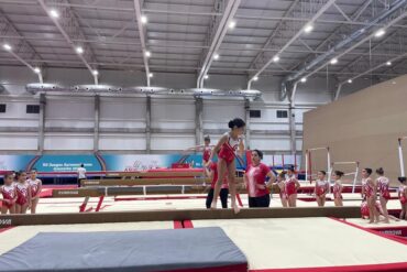 South American Artistic Gymnastics Championship