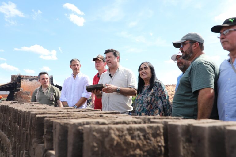 olive oil production in Paraguay