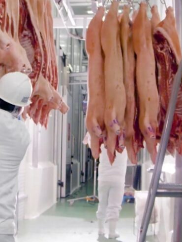 Paraguayan meat processing plants