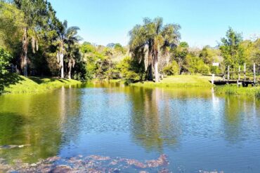 Camp in Itapúa, at beautiful places like this