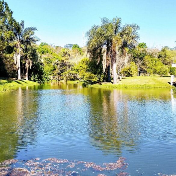 Camp in Itapúa, at beautiful places like this