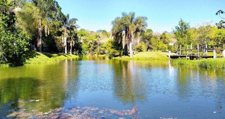 Camp in Itapúa, at beautiful places like this