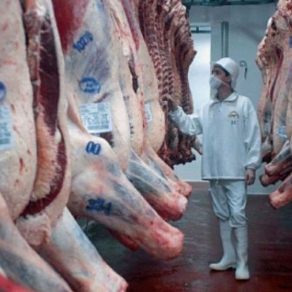 Paraguayan beef exports are increasing rapidly