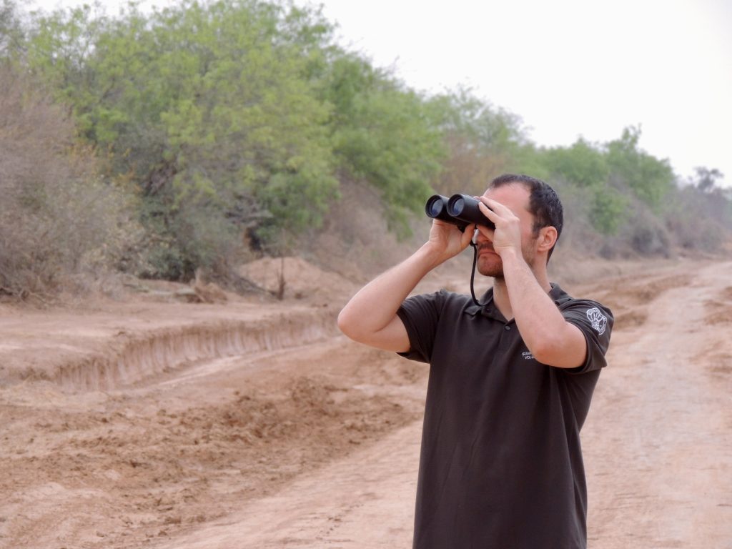 You can see many things during the trip.