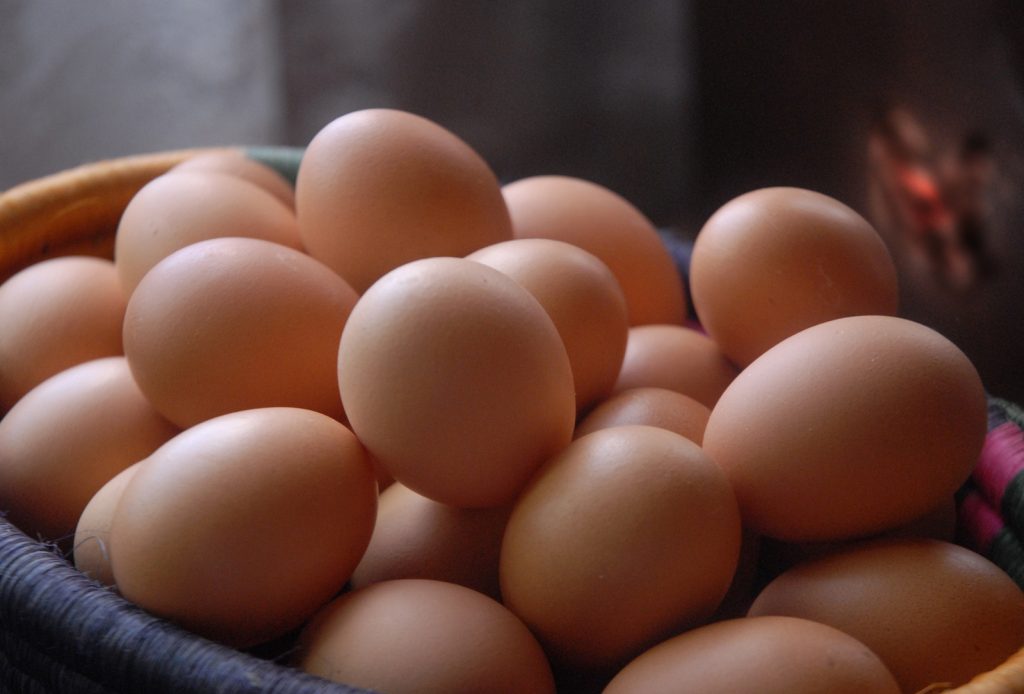 Eggs Export