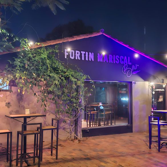 Fortin Mariscal