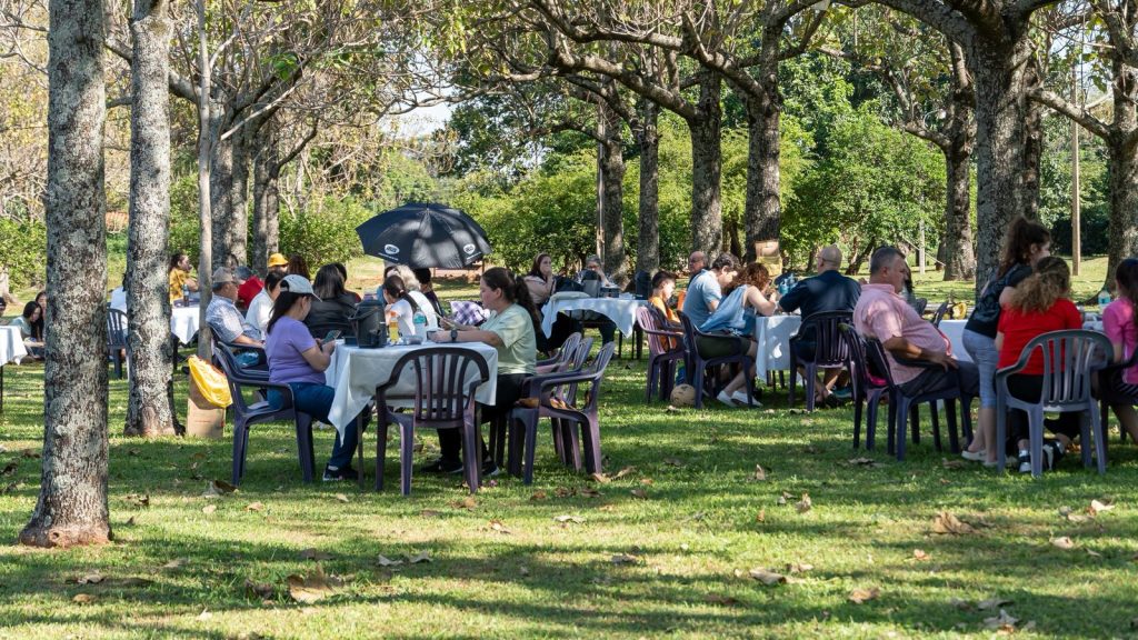Picnic Day.