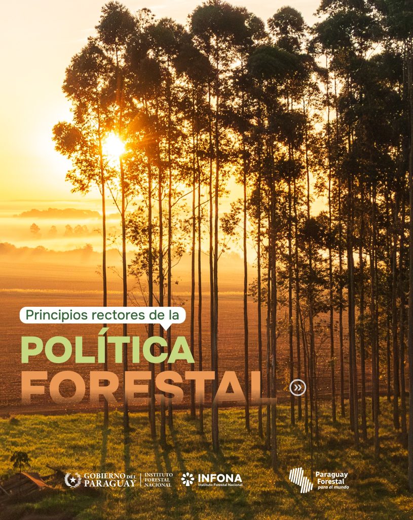 National Forestry Policy that will be discussed at Expo Madera.