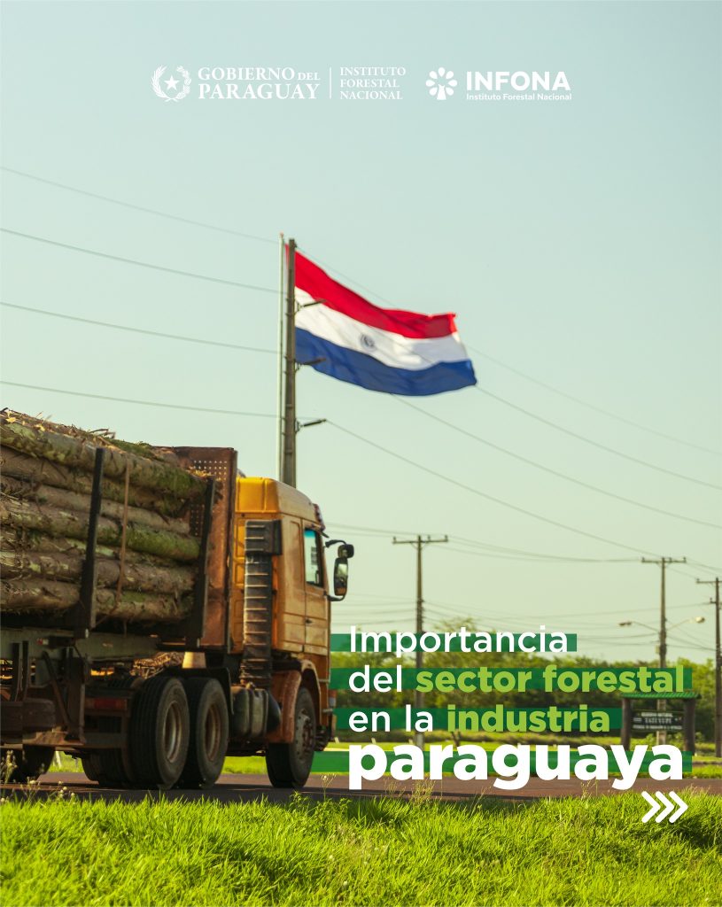 National Forestry Policy that will be discussed at Expo Madera.