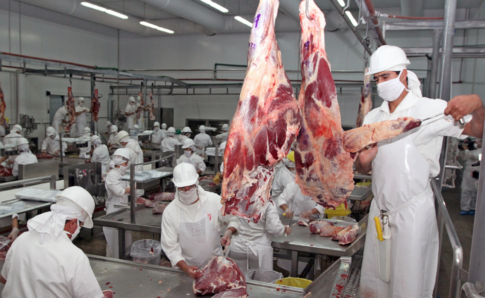Paraguay’s Beef Exports Surge To Over US$1 Billion In Remarkable First Half Of 2025