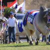 Expo Paraguay 2025