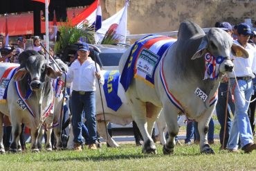 Expo Paraguay 2025