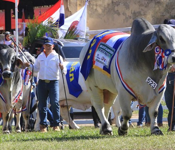 Expo Paraguay 2025