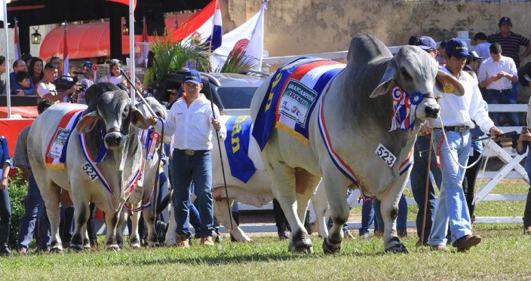 Expo Paraguay 2025