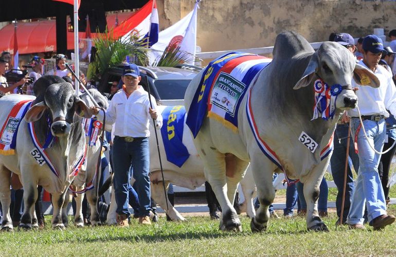 Expo Paraguay 2025