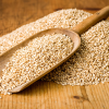 Sesame production