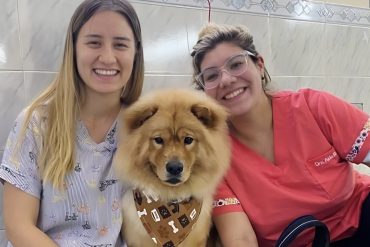 Pet Kingdom