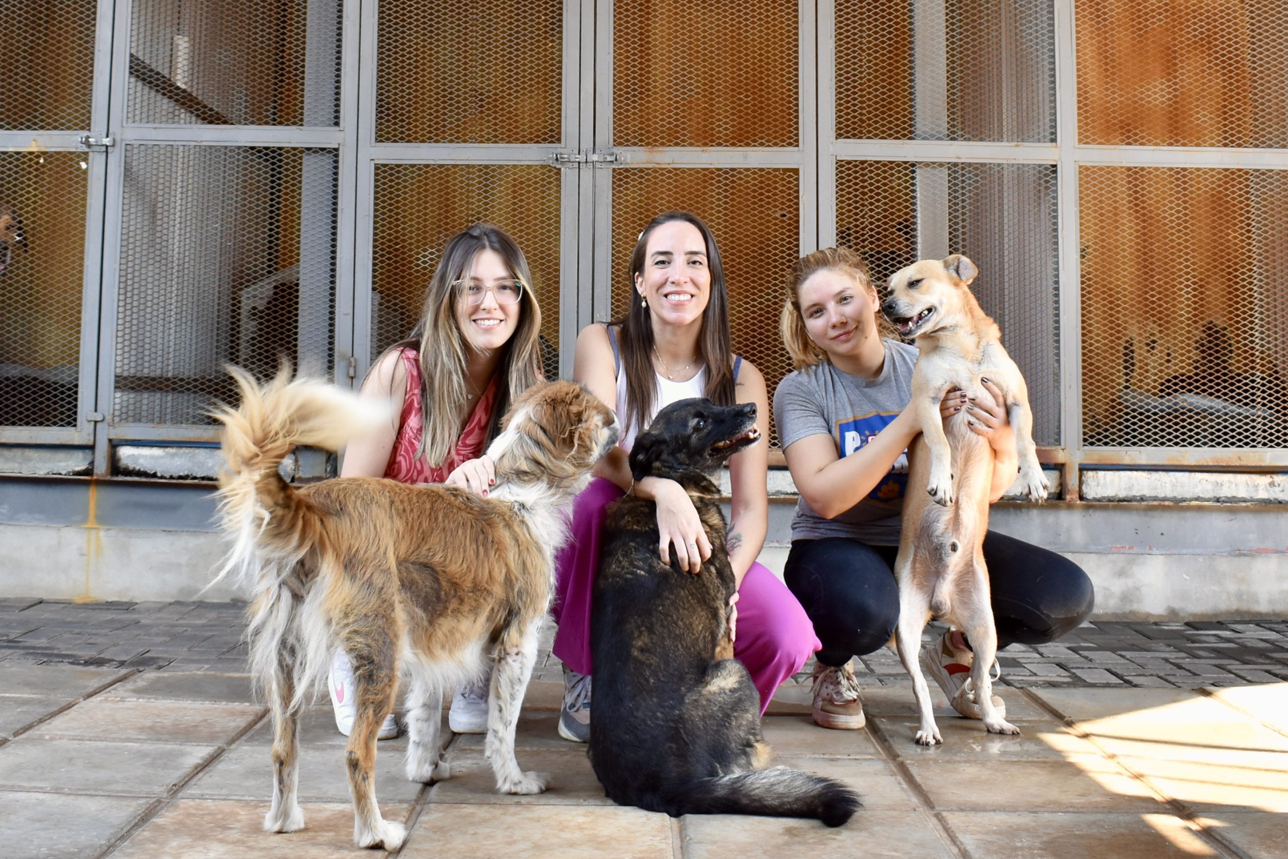 10 Years Of Polki Squad, A Shelter Of Love And Hope For Paraguay’s Pets