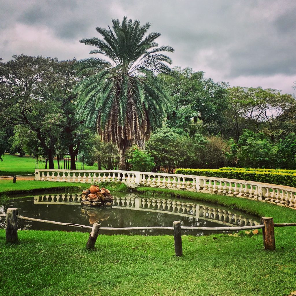 Jardín Botánico, where to walk your dog.