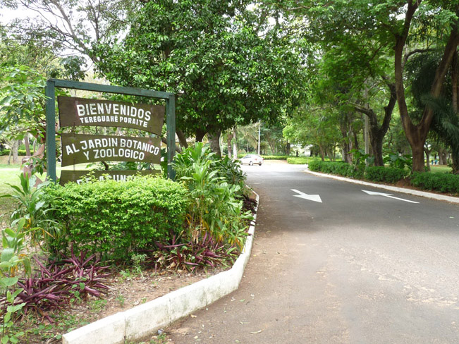 Jardín Botánico, where to walk your dog.