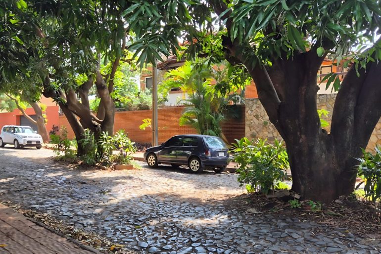 You will see many trees in the road like this in Paragay