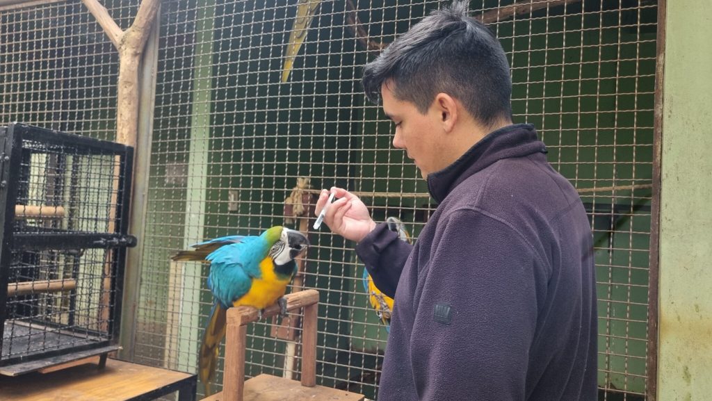 Animals present at the centre.