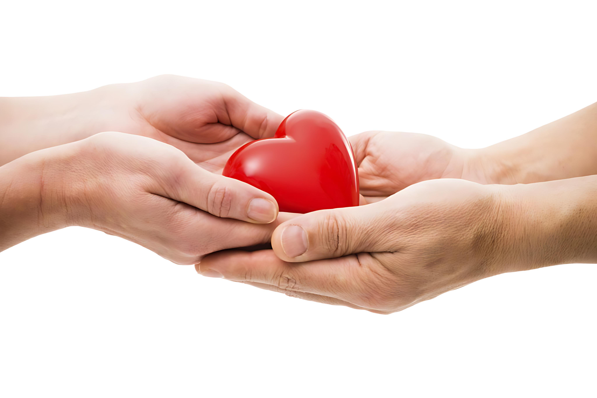 Organ Donation In Paraguay: How Does It Work?