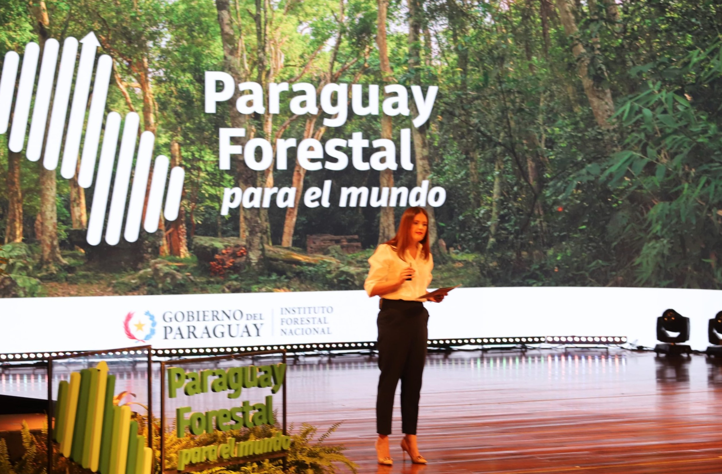 ‘Paraguay’s Forestry Sector Shows 15% Annual Growth, Reaching 300,000 Hectares’