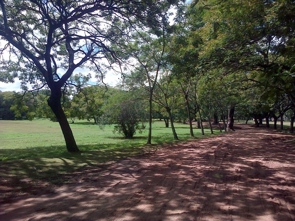 Carlos Antonio López Park.