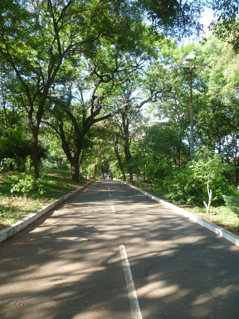 Carlos Antonio López Park.