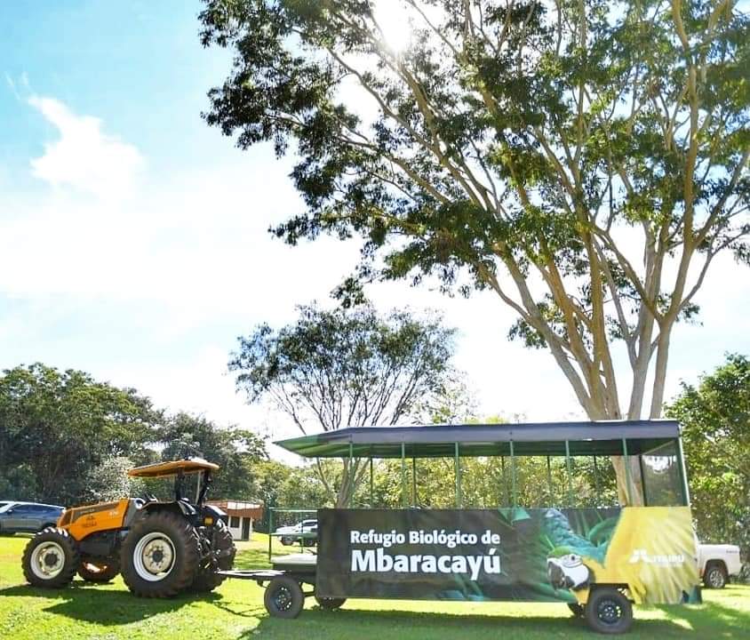 Mbaracayú Biological Refuge has now macaws again!