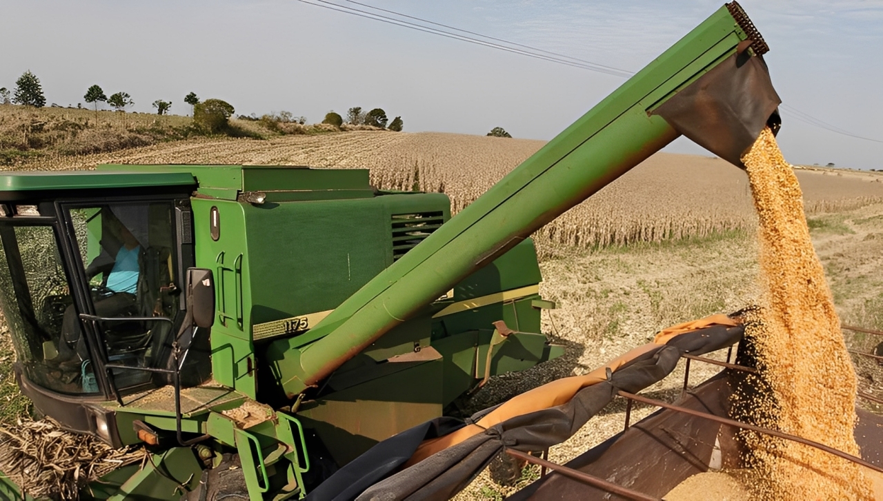 Paraguay’s Soybean Industry Hits New Peak At Nearly 3 Million Tonnes