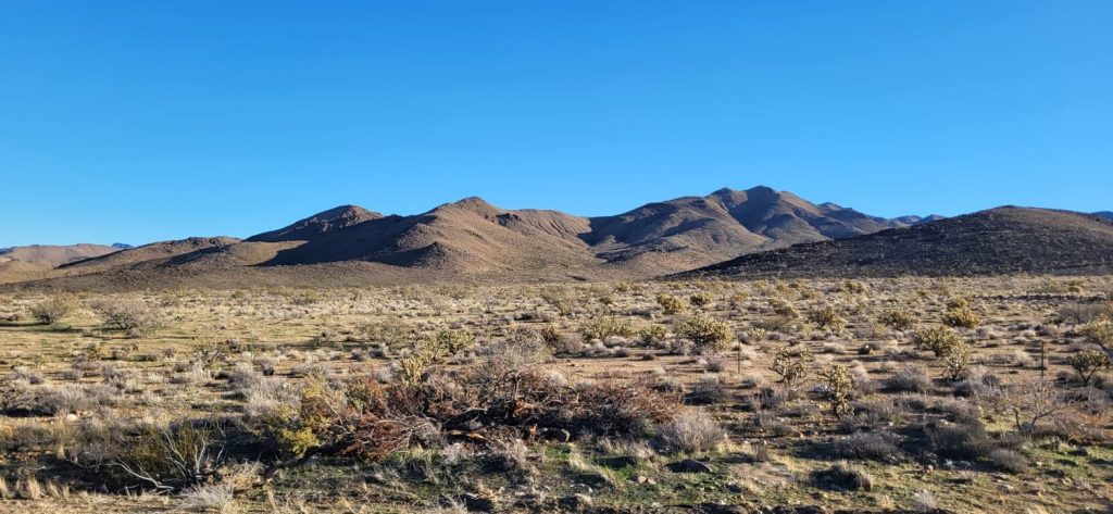 View during their trip.