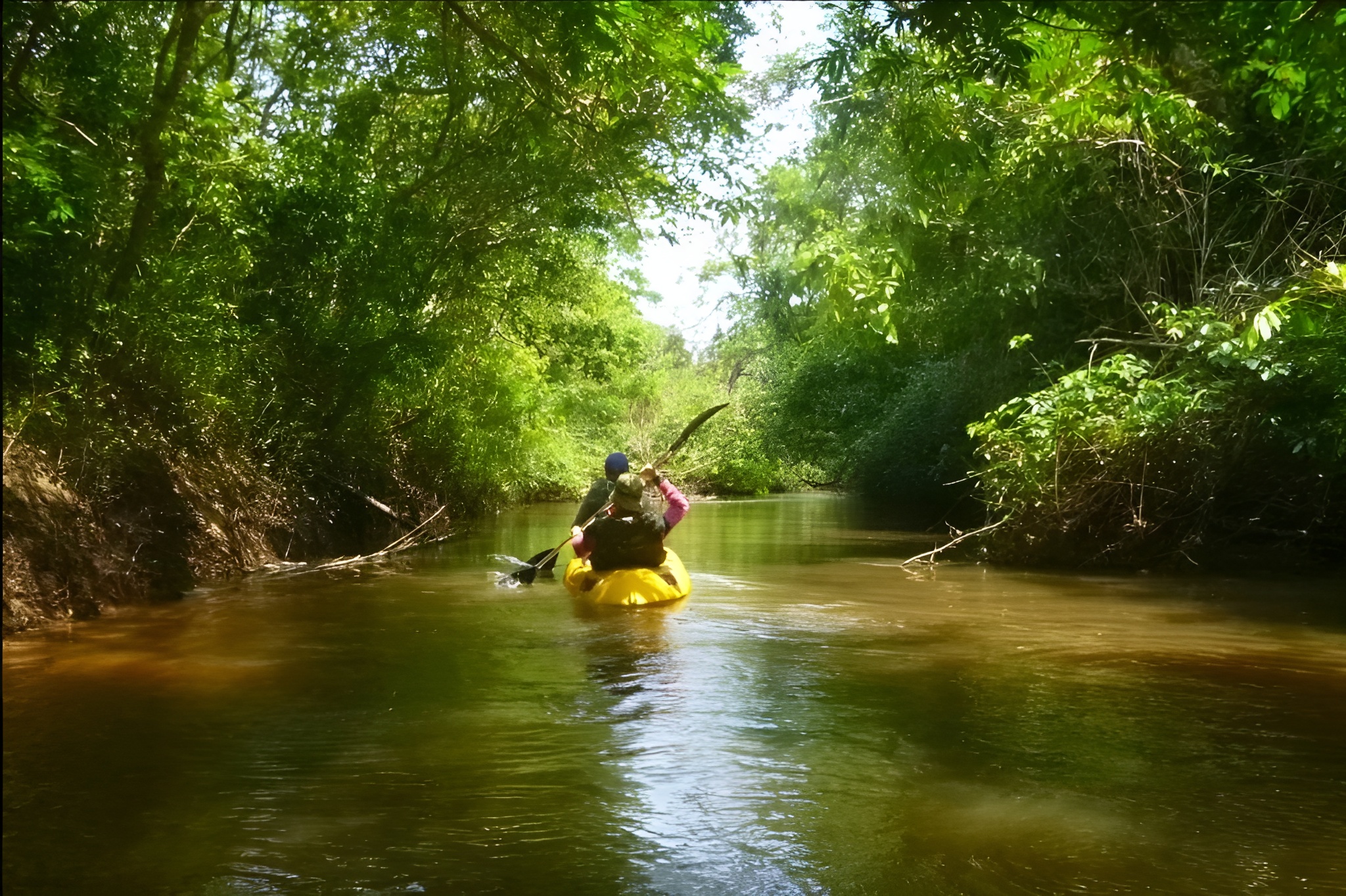 The Search Of The Bellbird In Paraguay’s Mbaracayú Forest Nature Reserve