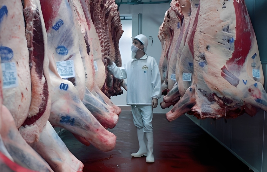 Paraguay’s Animal-Origin Exports Reached Record Revenue In 2025