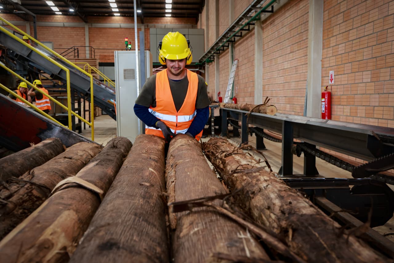 Historic US$100M Milestone For Forestry Exports As Paraguay Prepares New Technical Training