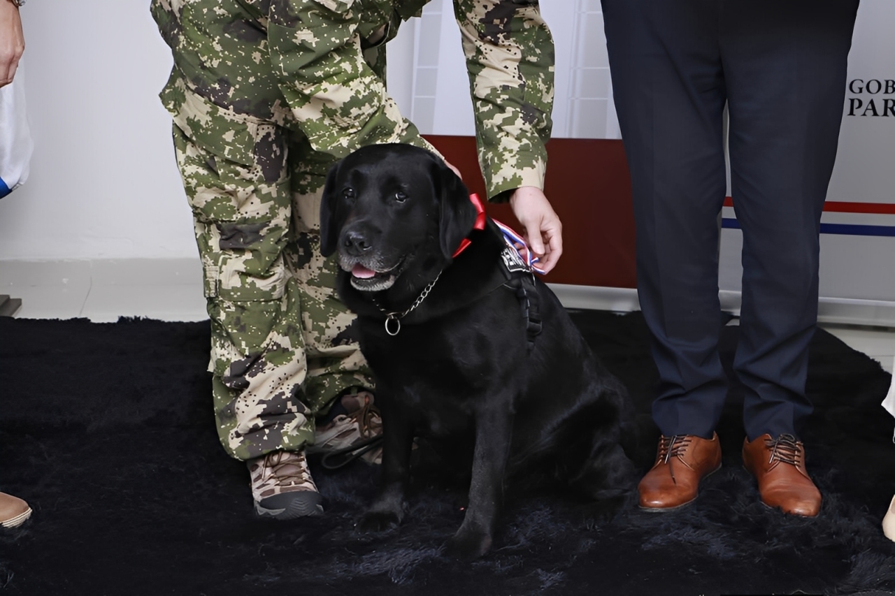 K-9 Hero Dog Rocky Receives Municipal Honour For Years Of Service In Paraguay