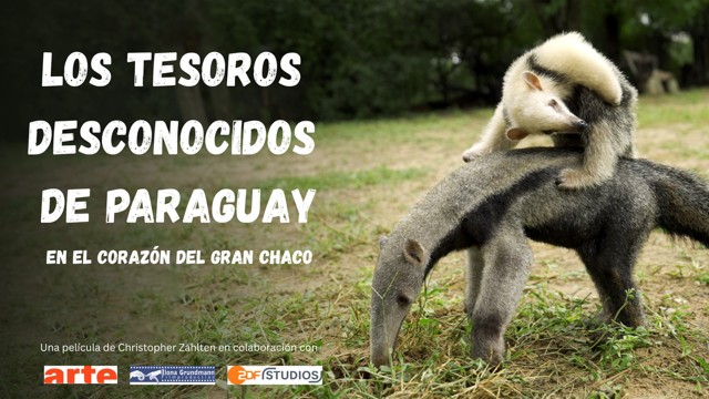 Documentary of Christopher Zahlten for Arte TV.