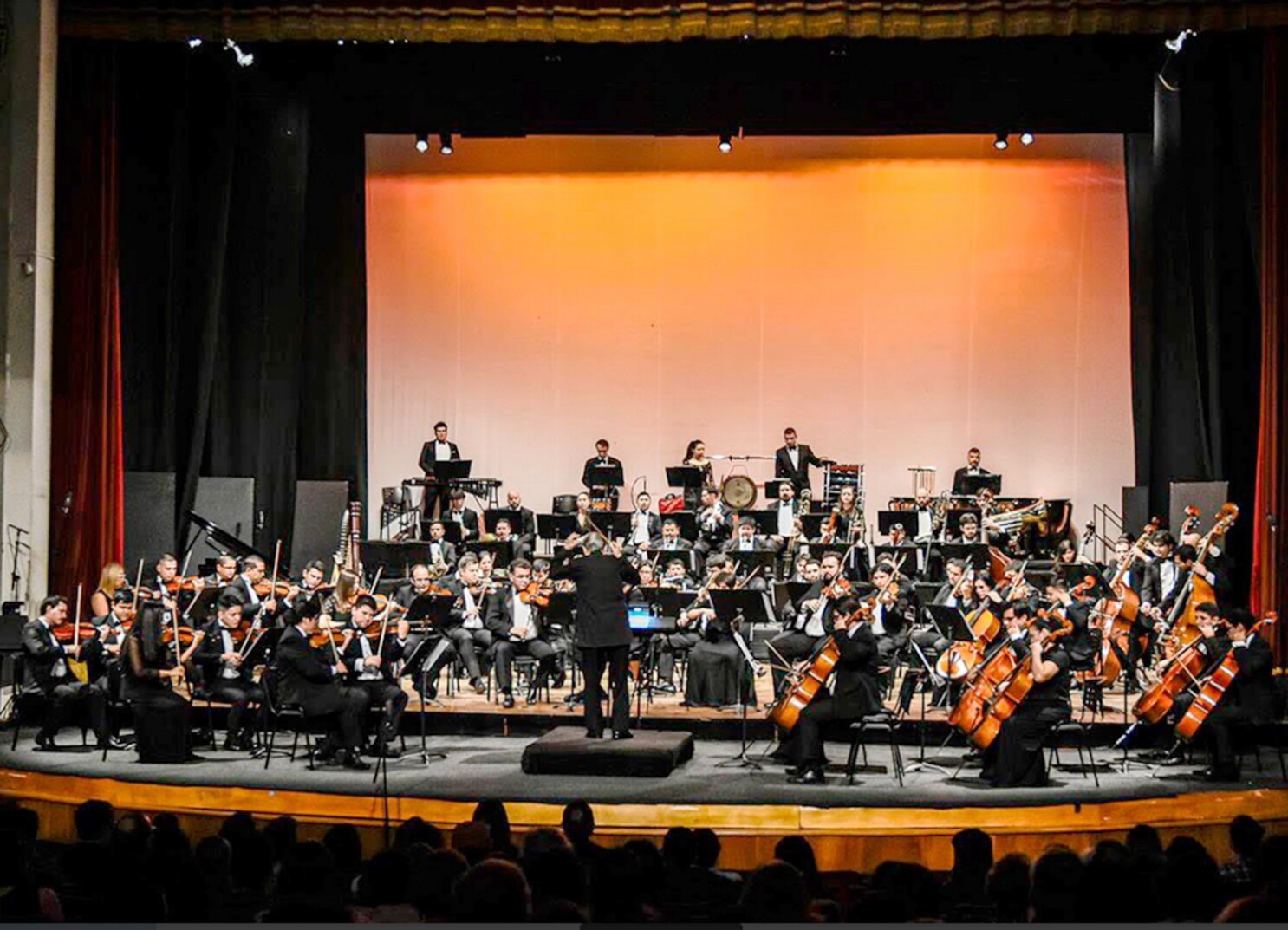 Symphony Of Freedom Celebrates Women In Music With Free Concert In Asunción