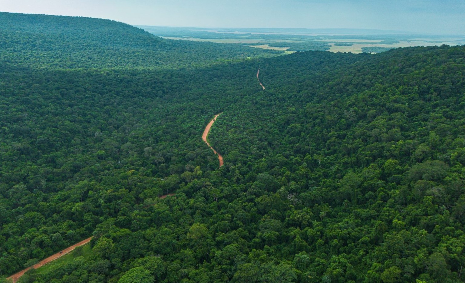Paraguay Retains 44% Forest Cover According To New Infona Report