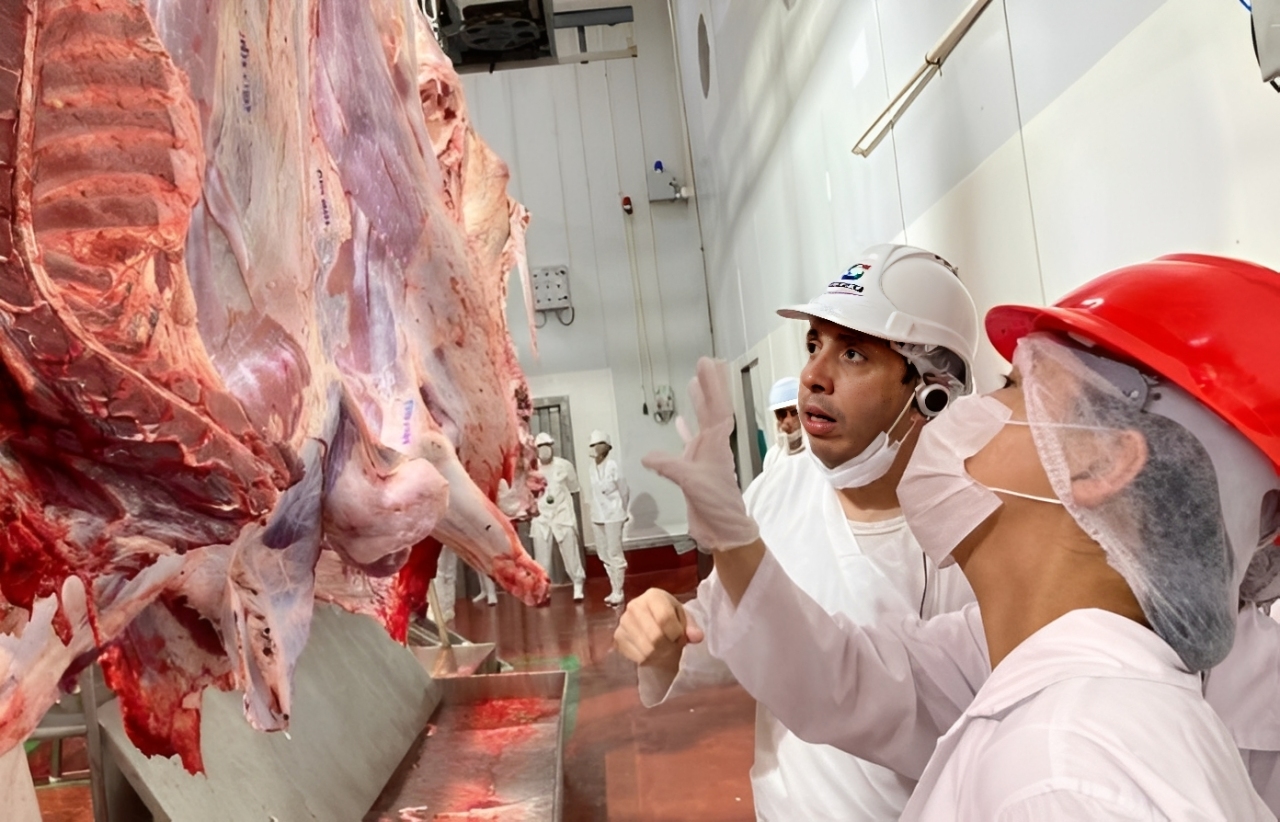 Paraguayan Meat Exports Expands With New Asian Destination