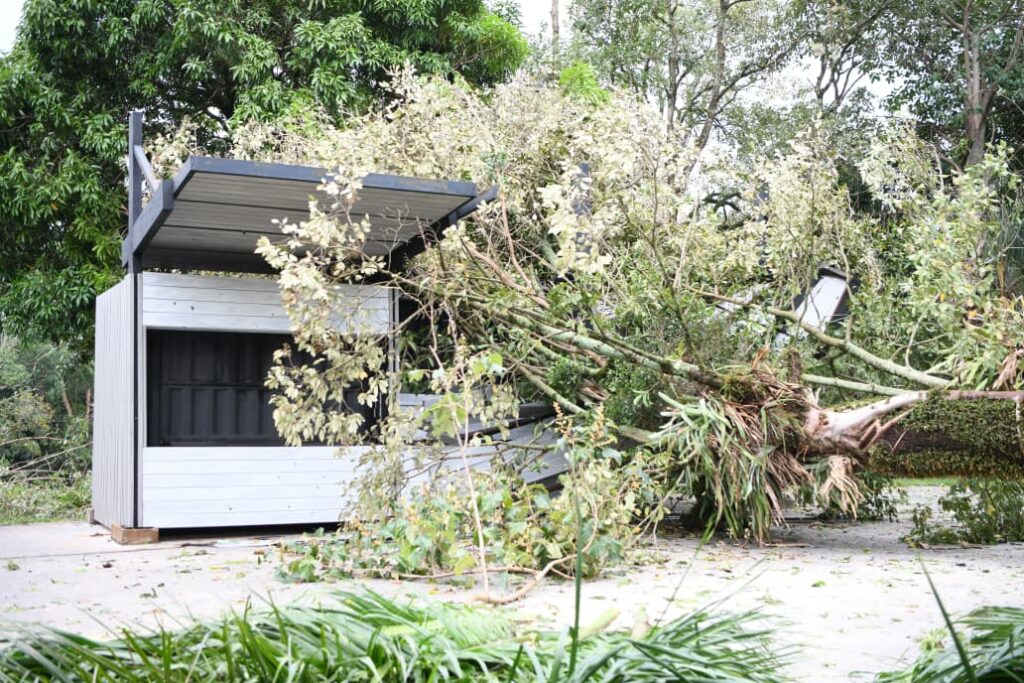 Storm Damage Forces Temporary Closure Of Tekotopa Environmental Centre In Paraguay