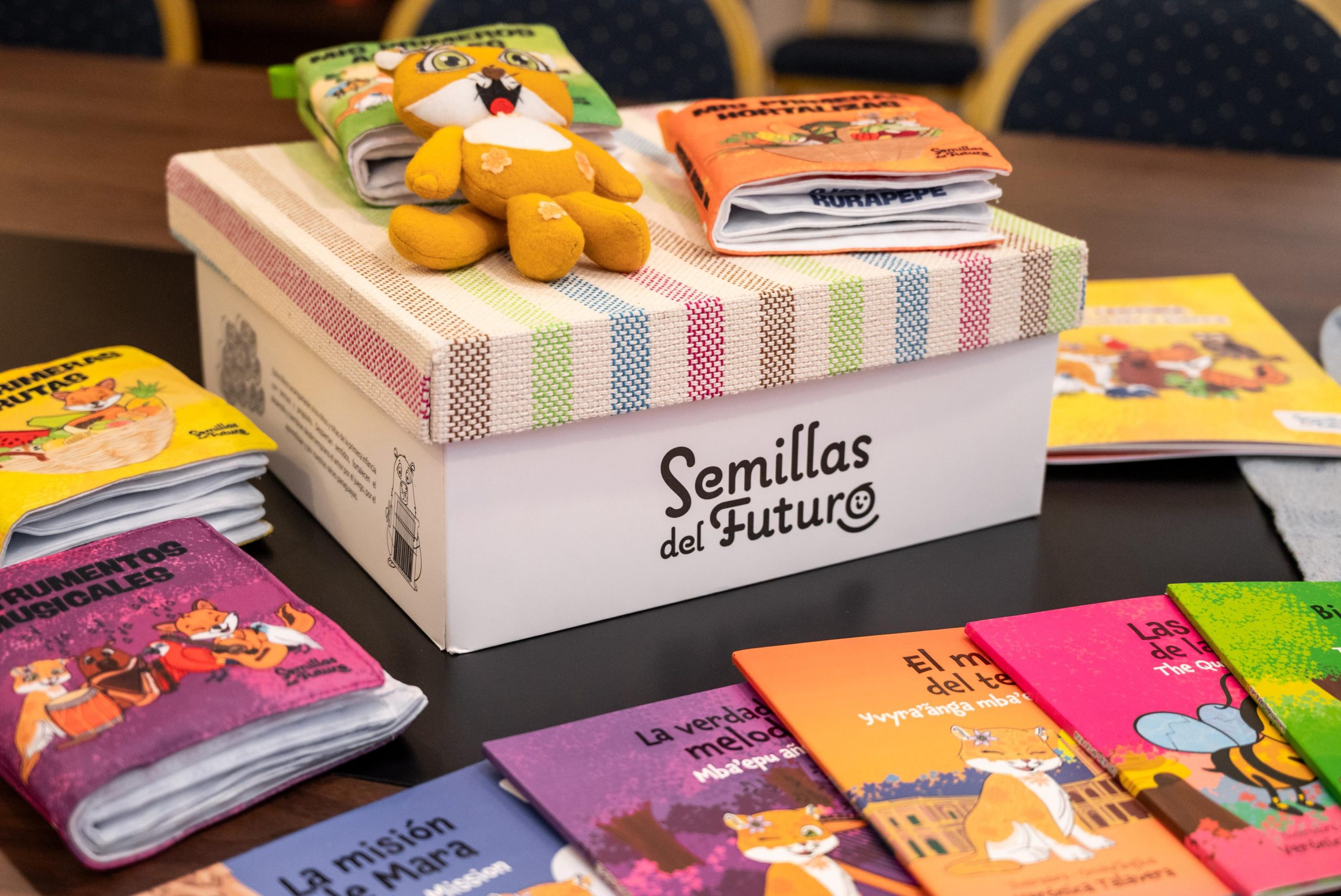 Paraguay Presents Trilingual Book Collection For Early Childhood Development